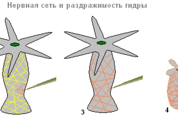 Что такое кракен шоп