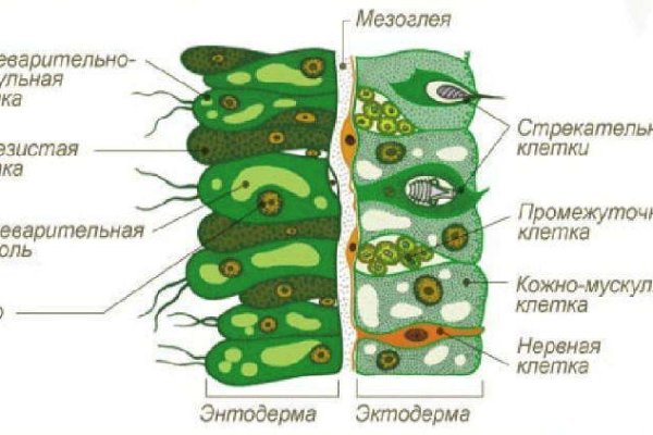 Кракен маркетплейс создатель